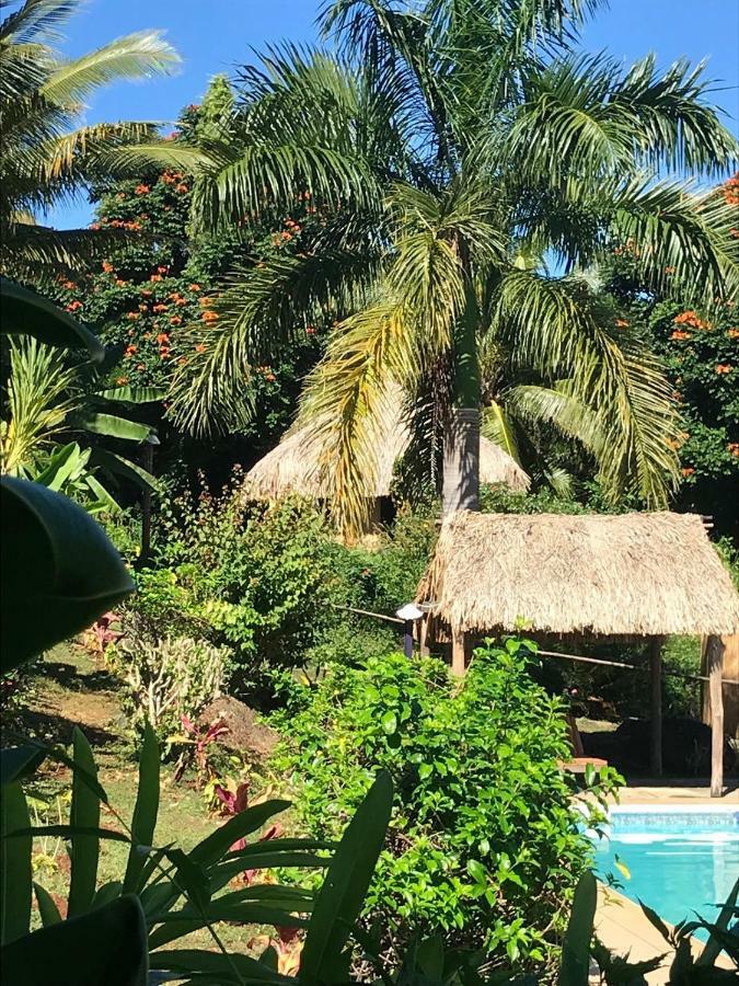Palmlea Farms Lodge & Bures - Villas Лабаса Екстер'єр фото